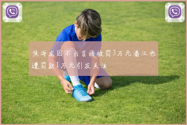 焦海龙因不当言语被罚3万元潘江也遭罚款1万元引发关注